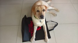 WP_20160330_15_29_37_Pro